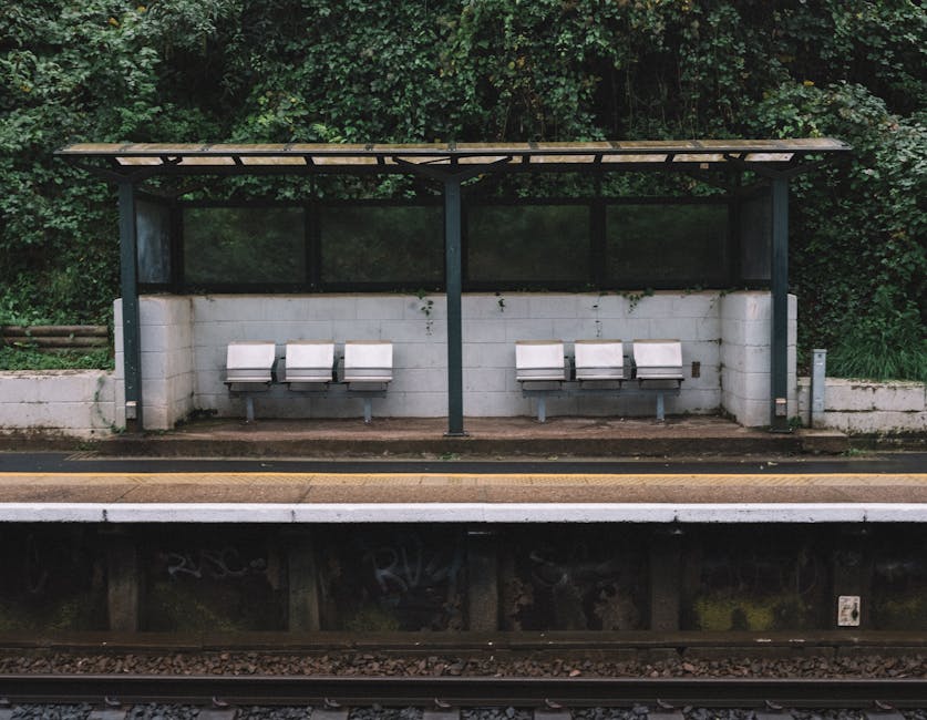 A bus shelter situated on a railway station platform, featuring a metal roof with a transparent protective panel at the back. Inside the shelter, six white plastic seats are mounted to a metal frame, with three seats on each side, all facing inward. The shelter’s structure is supported by two vertical black metal posts, positioned centrally and slightly offset from each other, creating a symmetrical appearance. Behind the shelter, there is a high concrete wall with a light grey, slightly weathered finish, and some small patches of moss or dirt. The platform edge is marked by a white line, with a narrow yellow safety strip running parallel to the railway tracks in the foreground, which appear dark with visible ballast and a sense of depth. The background is dominated by dense green foliage, primarily leafy bushes and trees, providing a natural backdrop that contrasts with the utilitarian design of the bus shelter. The overall scene is illuminated by natural daylight, with no visible shadows or artificial lighting, suggesting an overcast or partly cloudy day. This setting appears typical for a suburban or semi-urban railway station, aligning with alternative waste handling and quick collection services like those offered by Rubbish Clearance Colliers Wood.